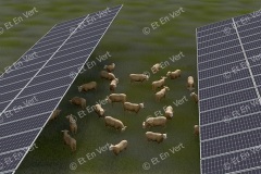 Modélisation 3D d'un parc agrivoltaïque - 2025