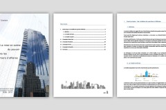 Trame de documents - rapport étudiant - 2009
