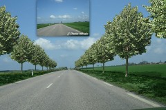 Simulation de la plantation d’arbres à intervalles réguliers le long d’une route - 2011