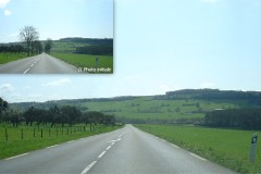 Simulation de la suppression d’arbres le long d’une route - 2011