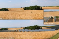 Simulation d’un projet agrivoltaïque - 2022