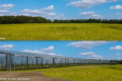 Simulation d’un projet agrivoltaïque - 2024
