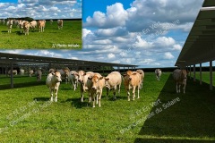 Simulation d’un projet agrivoltaïque - 2023