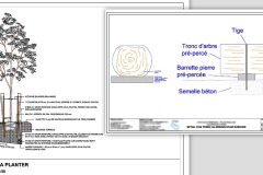 Coupes de détails d'aménagements paysagers - 2010