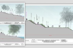 Coupes habillées d'un aménagement de berges - 2011
